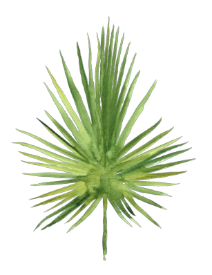Gasparilla palm mark